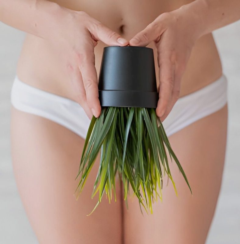 Brazilian Wax in San Marco, FL